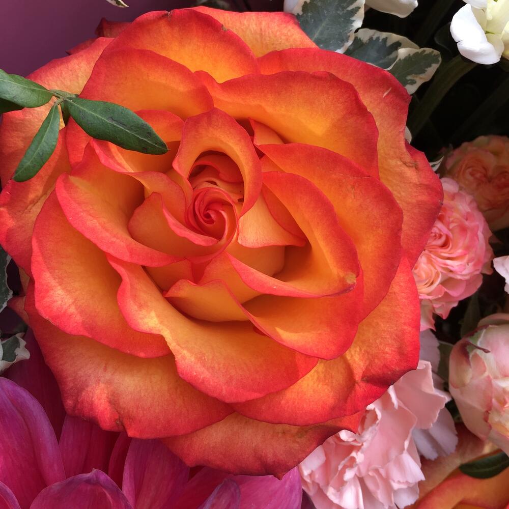 Bouquet with dahlias
