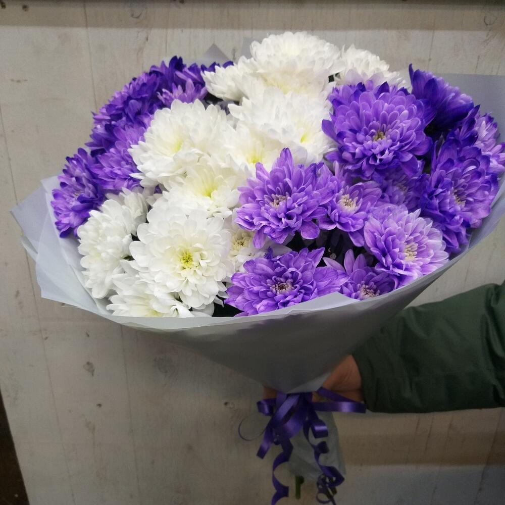 Букет из 7 хризантем кустовых