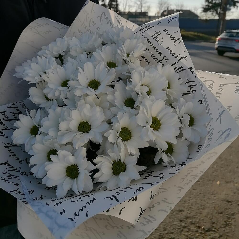 Баккарди