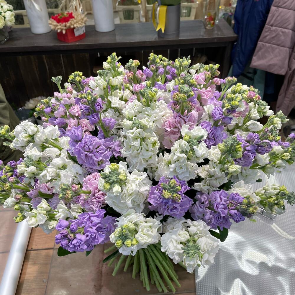 Букет из ароматных маттиолы