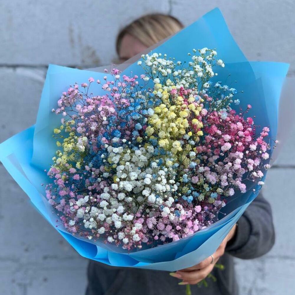 Радуга 🌈 гипсофила (арт.073)