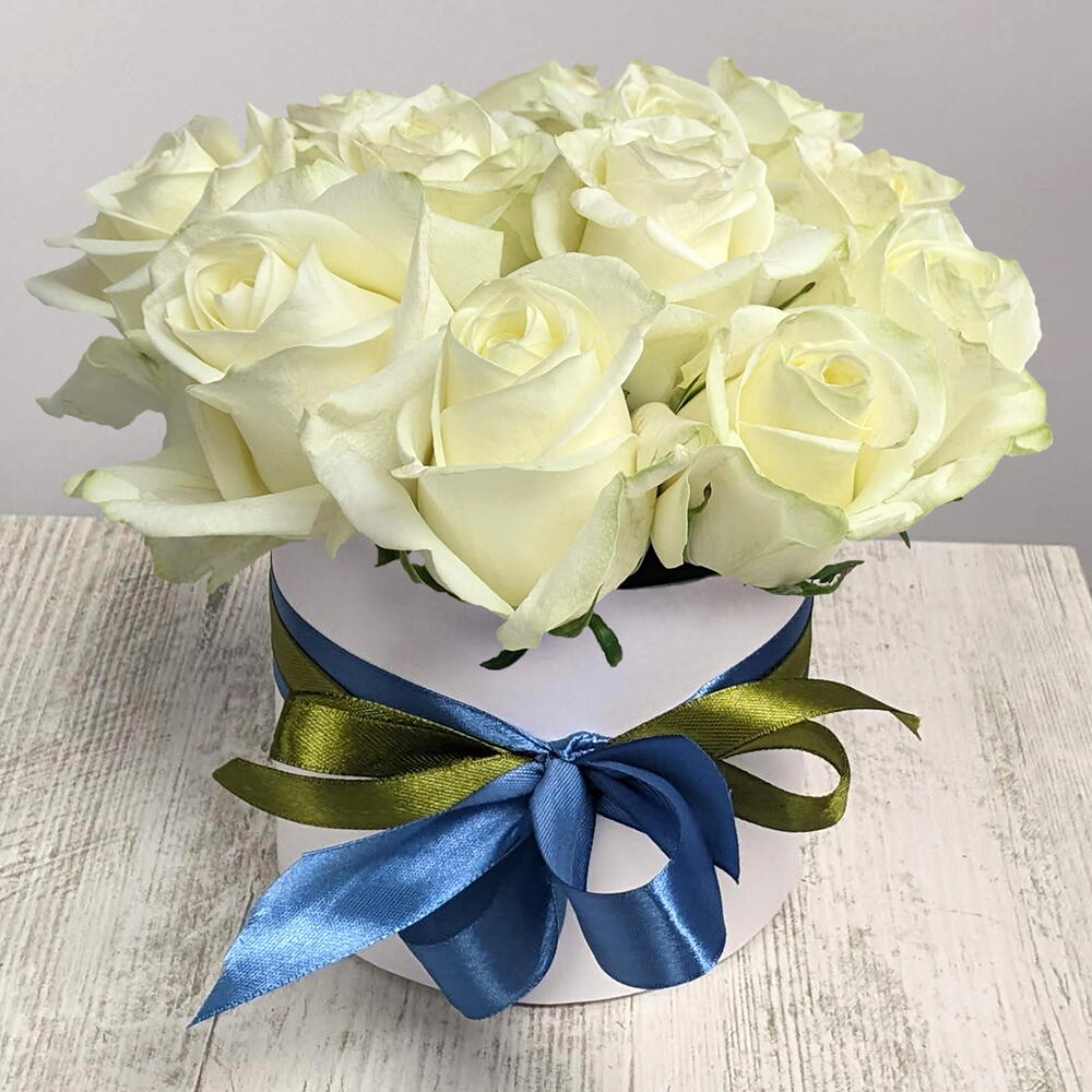 White rose in a box