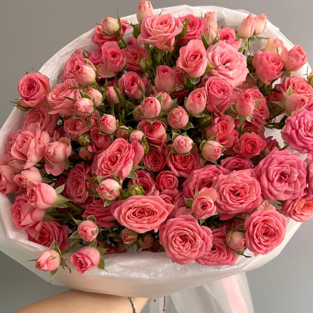 Пинк хеопс