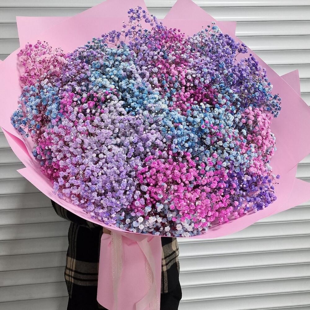 Baby's breath