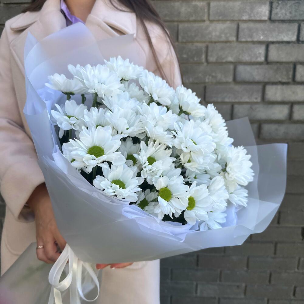 Bush Chrysanthemums in a package