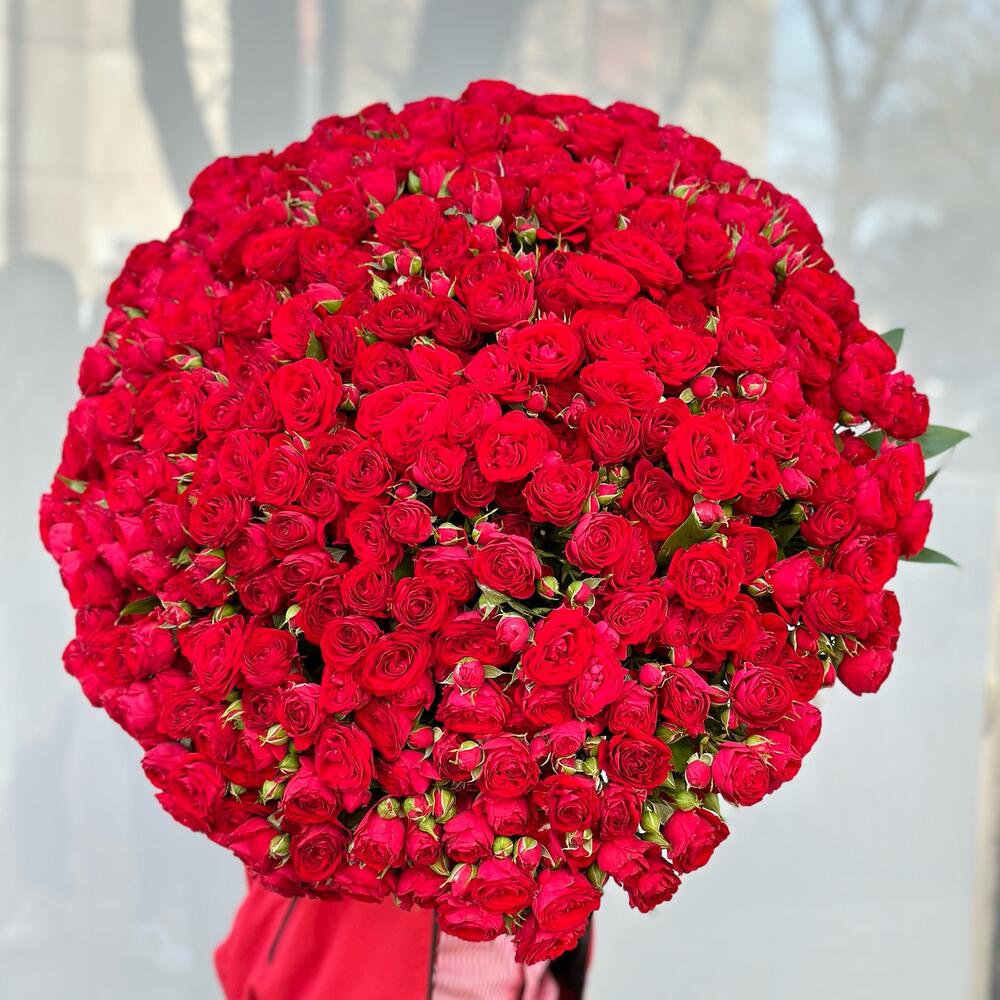 Sprey roza red