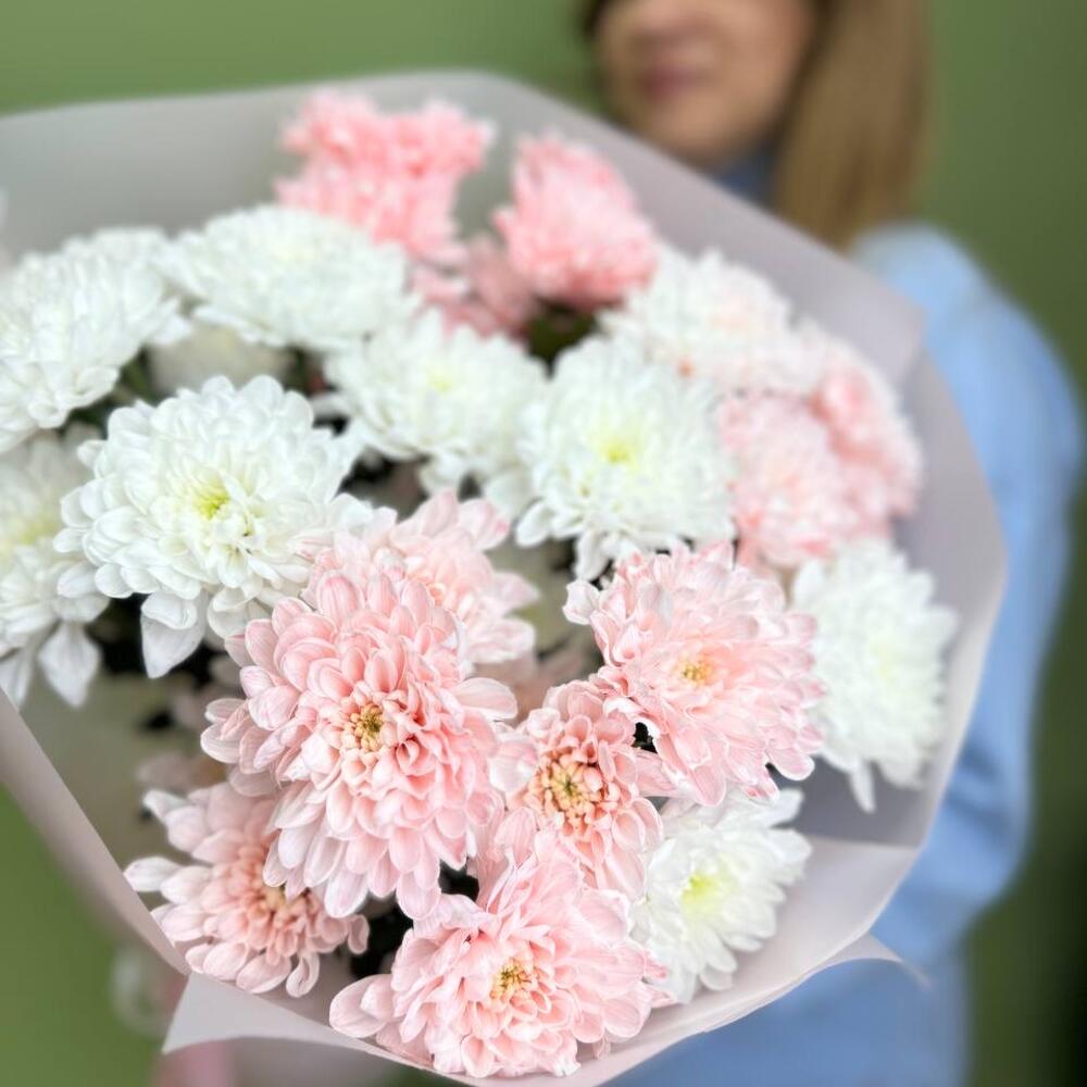 5 хризантем кустовых в упаковке