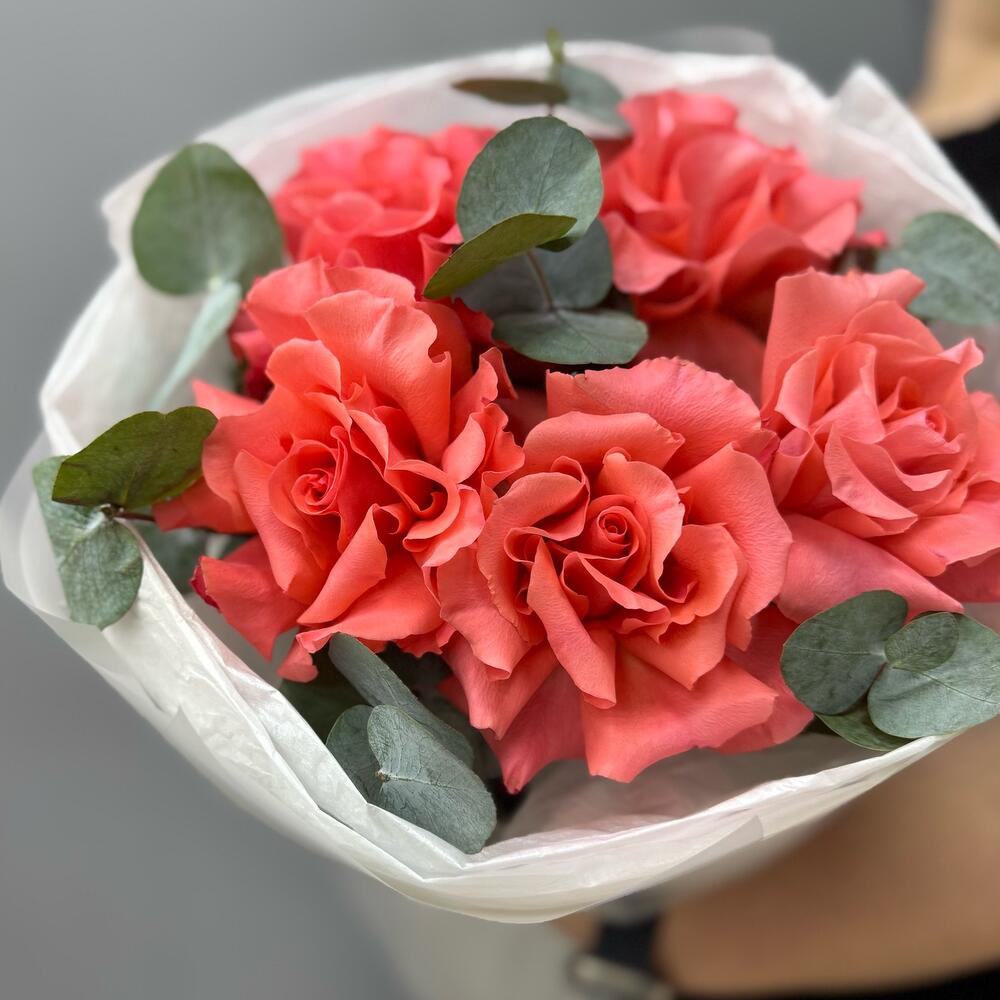 Французская Роза «Амстердам» ♥️