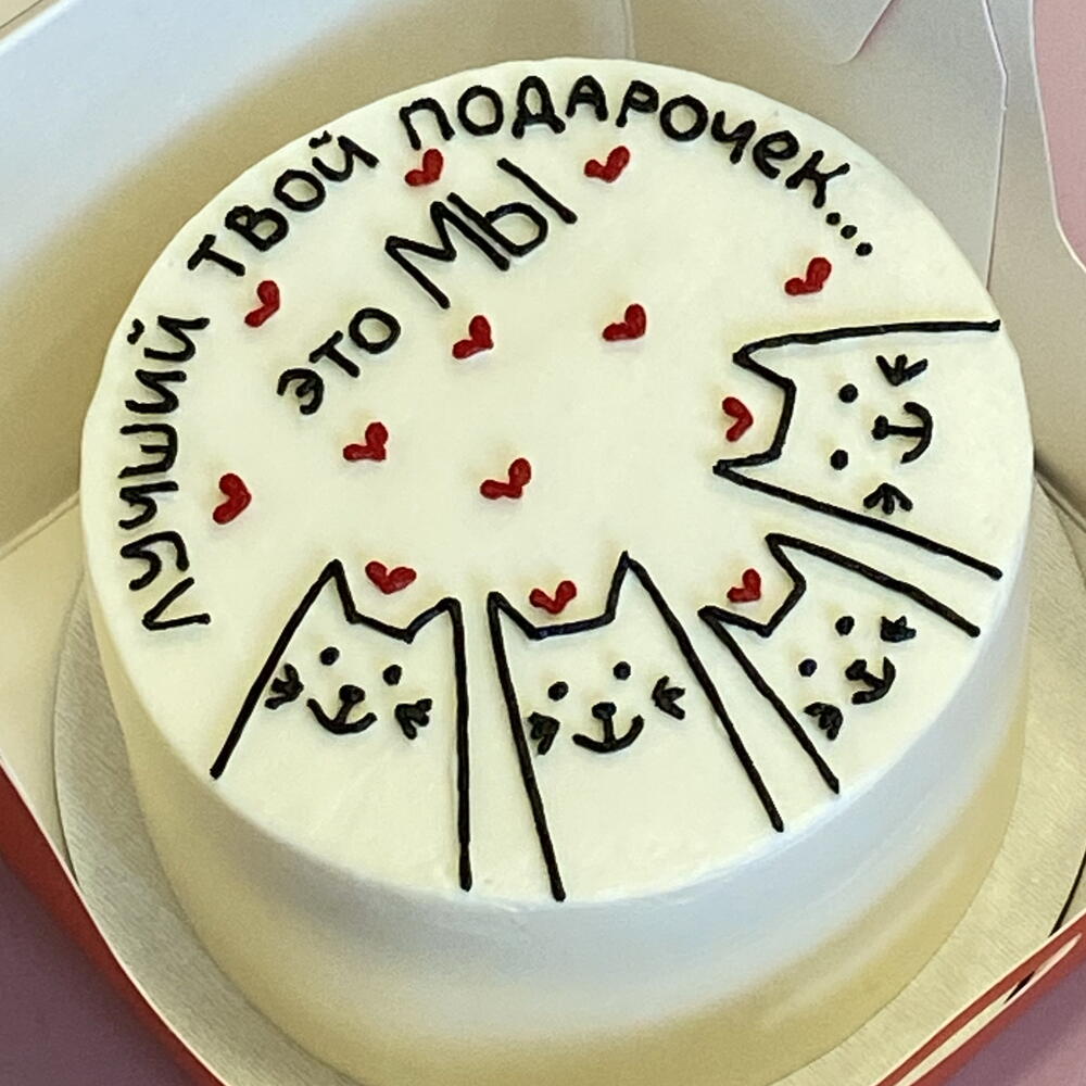Бенто с котиками подарок