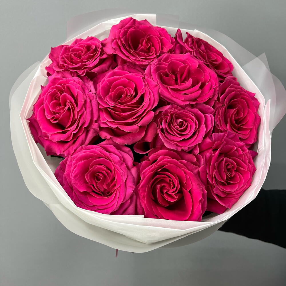 Малиновые розы 🌹  в упаковке с лентой (11 малиновых роз сорта Фулл Монти)