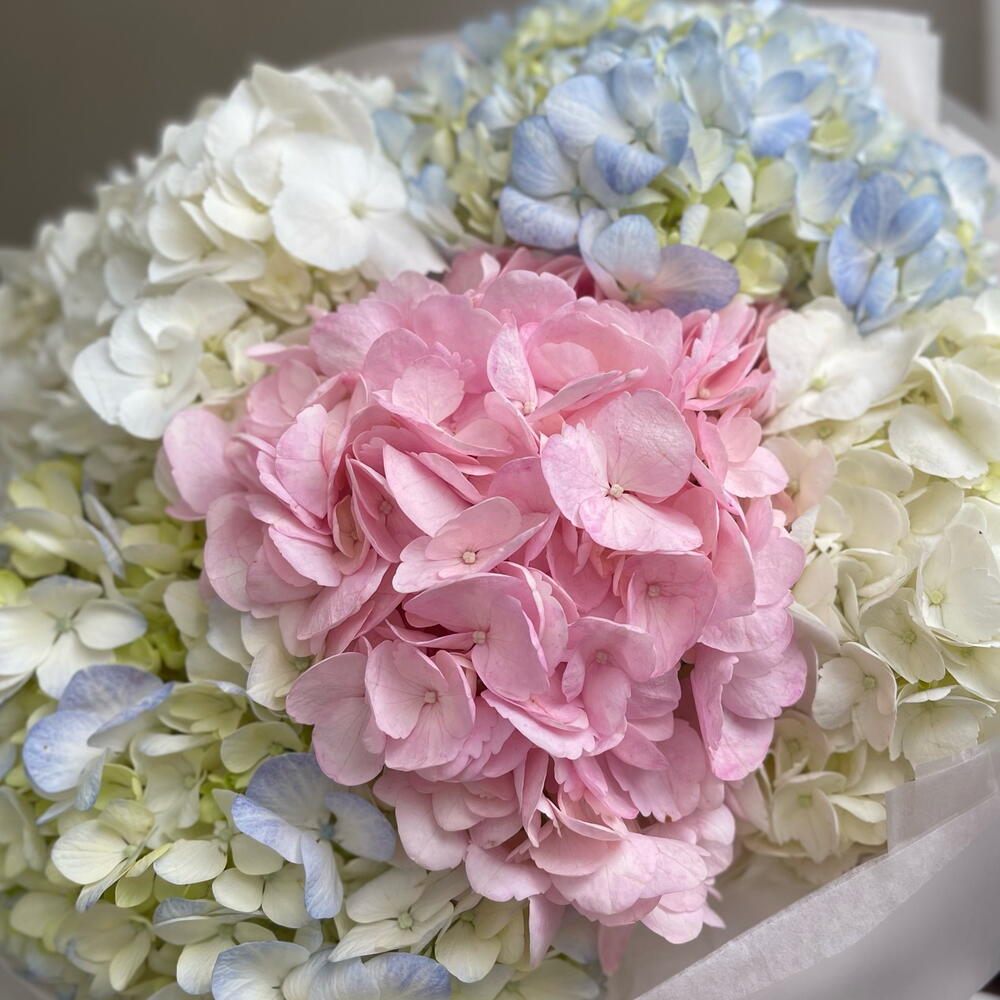 Букет нежных гортензий
