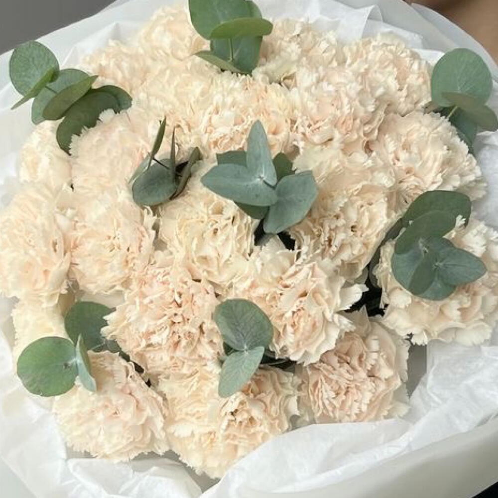 Воздушный букет из 21 диантуса с эвкалиптом 🌿🤩