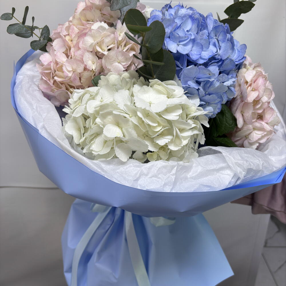 Bouquet of hydrangeas