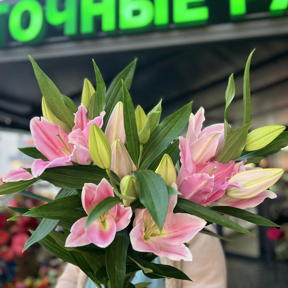 Розовая лилия 🌸🌸🌸