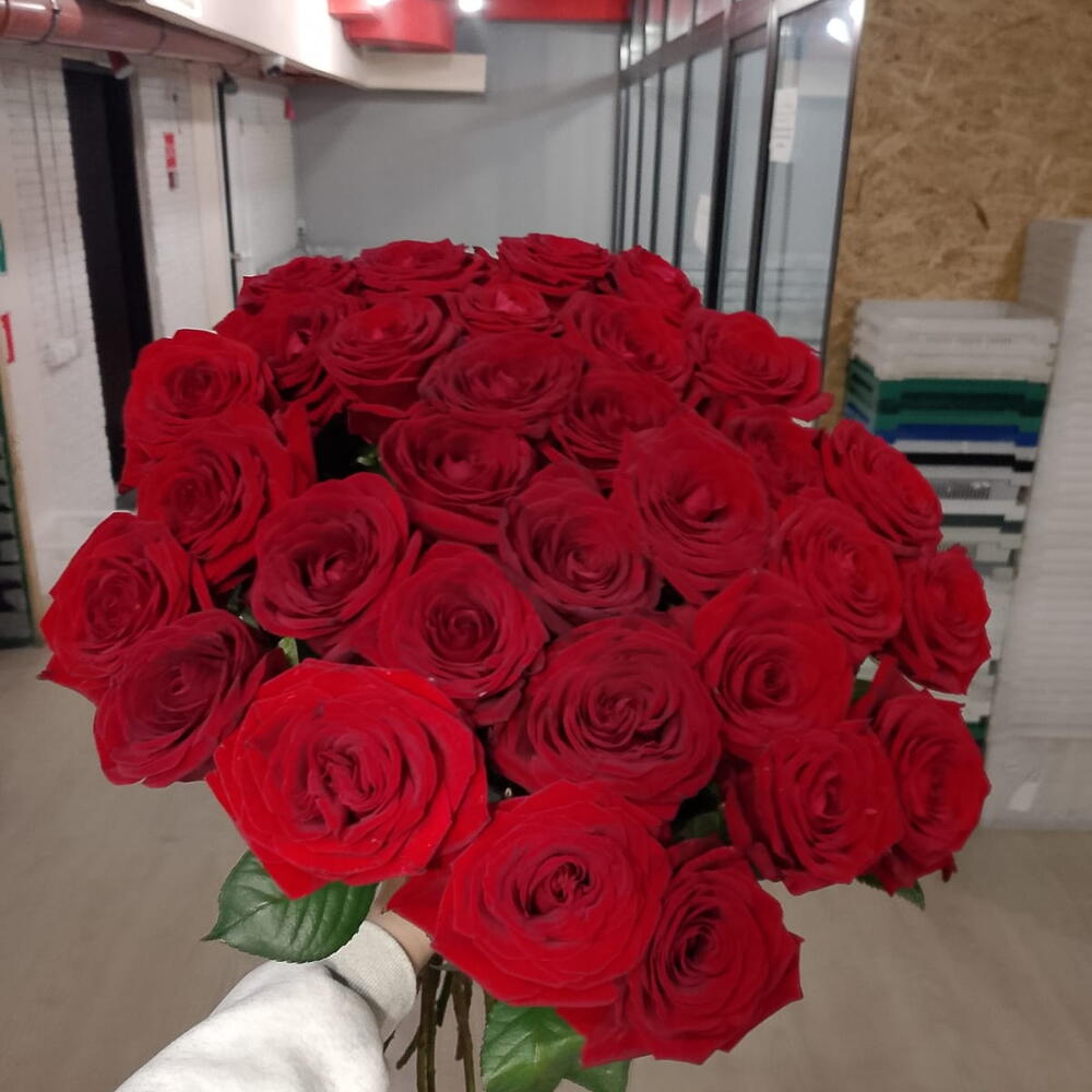 Букет из 25 красных роз