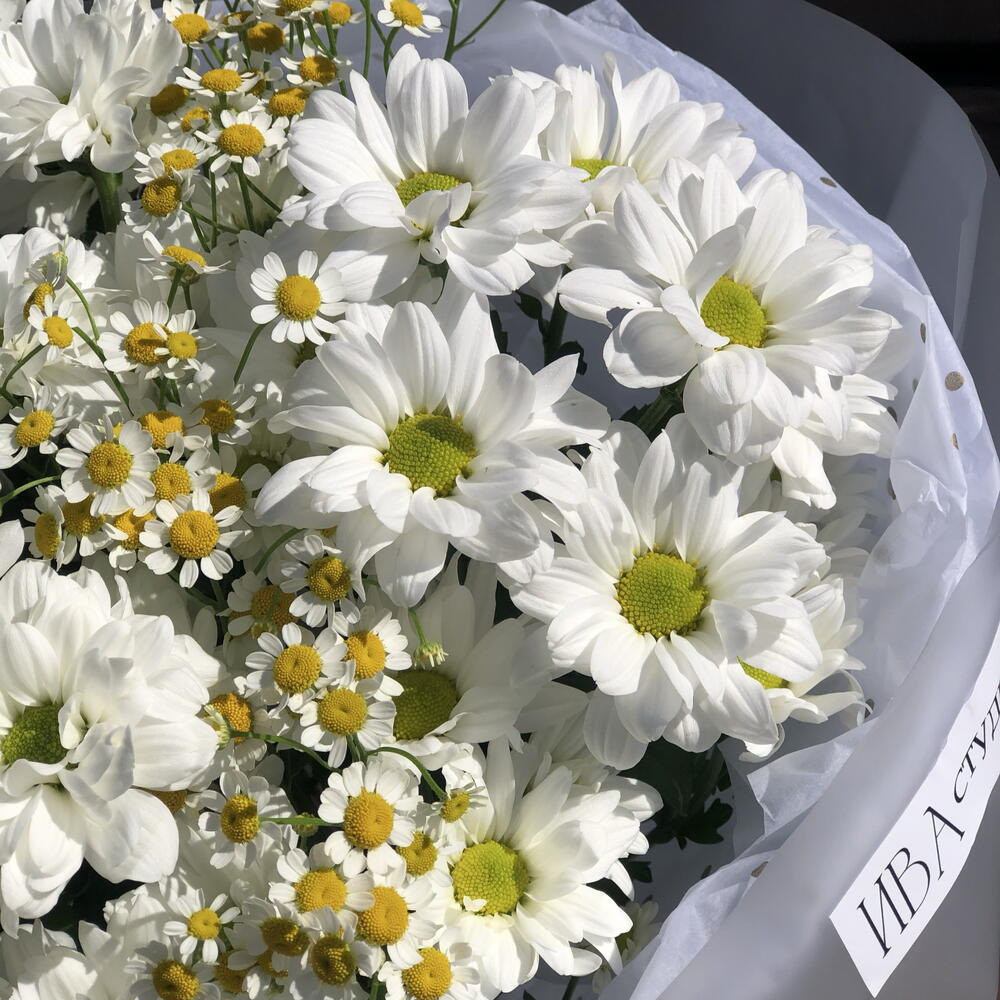 Нежный букет-комплимент с ромашками на 1 сентября 🌼🍁