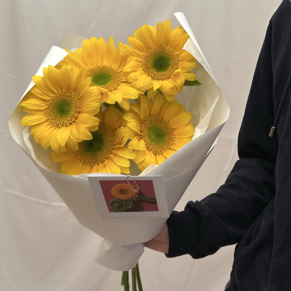Подсолнухи 🌻