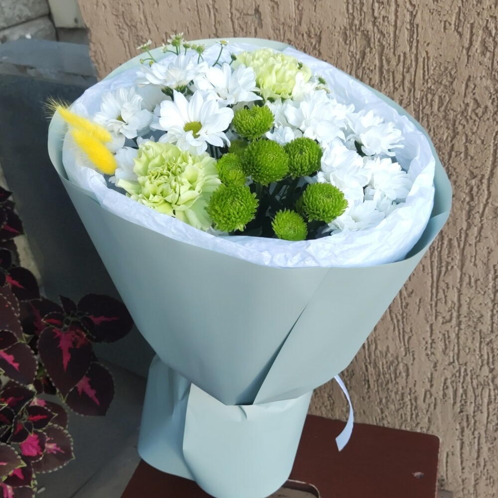 Прованс
