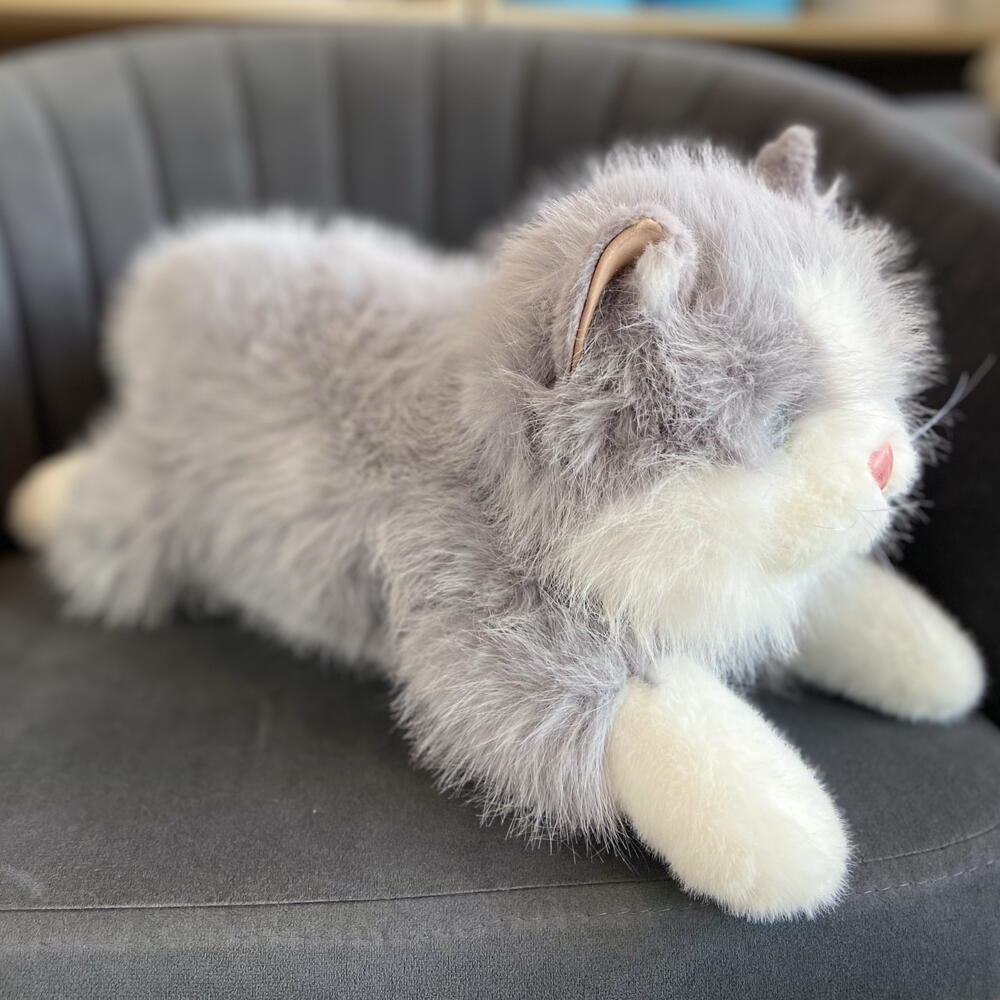 Поющий котик