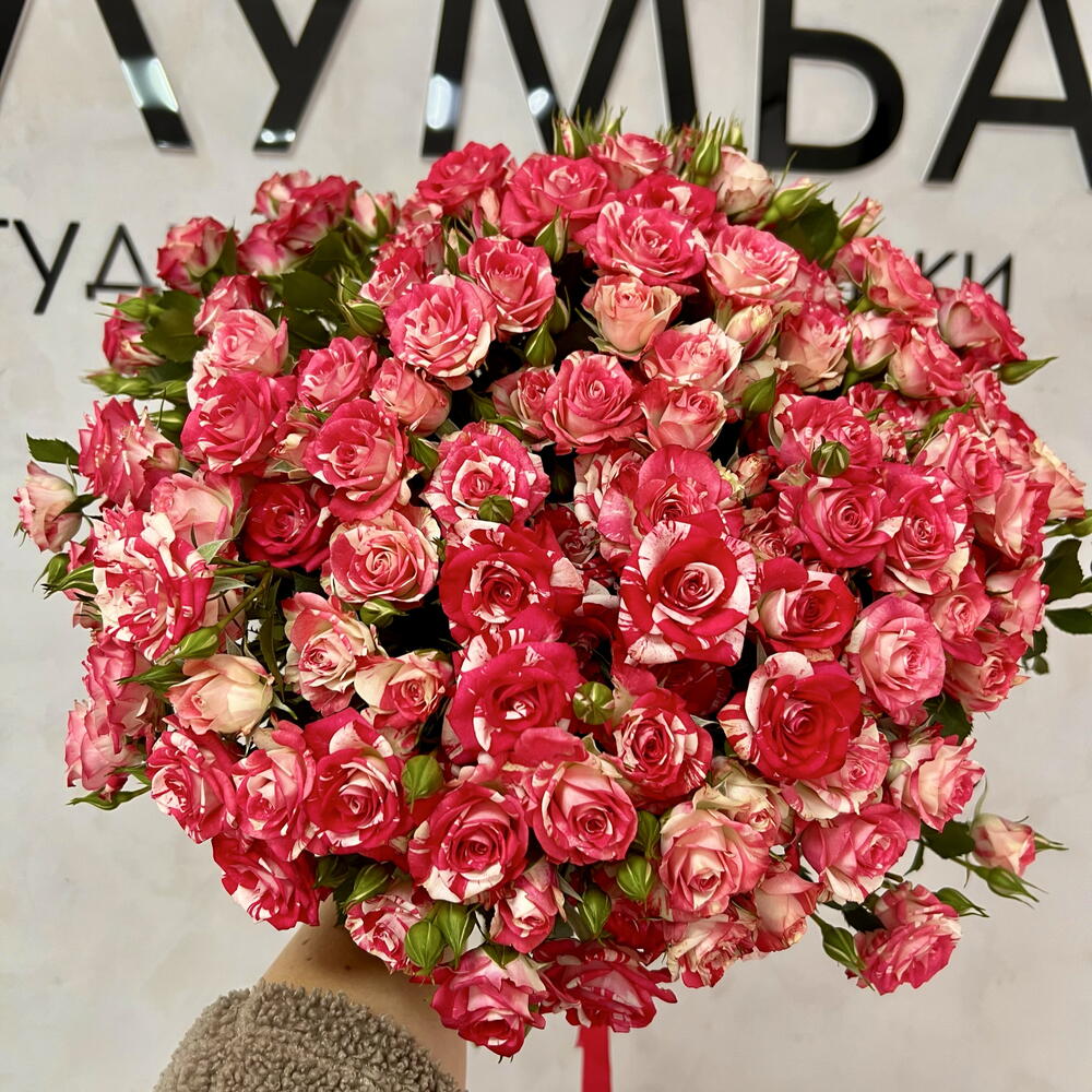 Моно из 21 кустовой розы 🌹