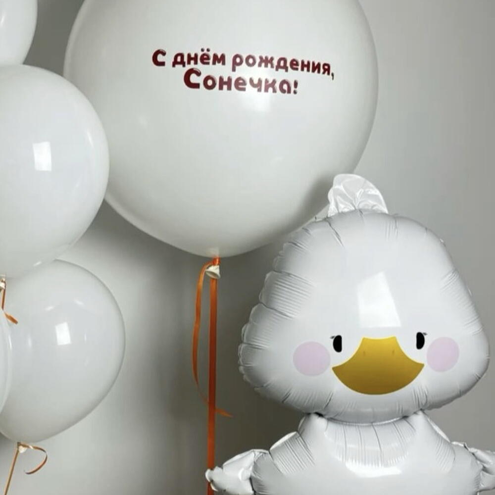 Композиция из шаров 25