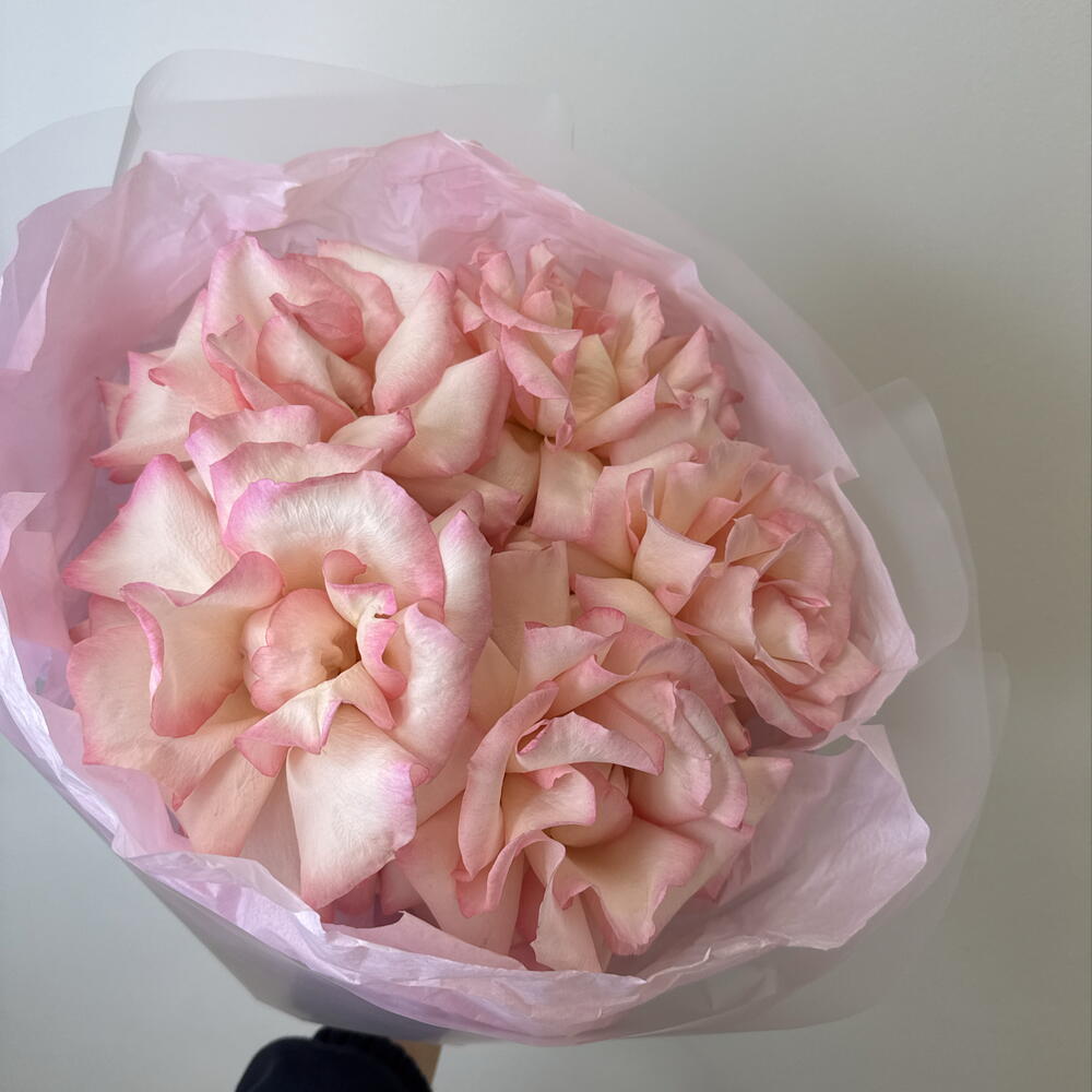 розовое облако 🌺bloom room