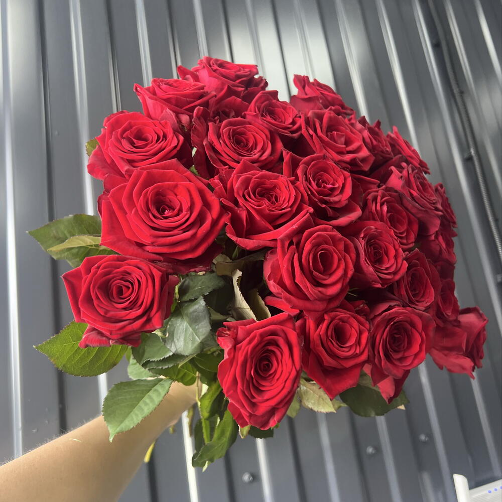 25 алых роз ♥️