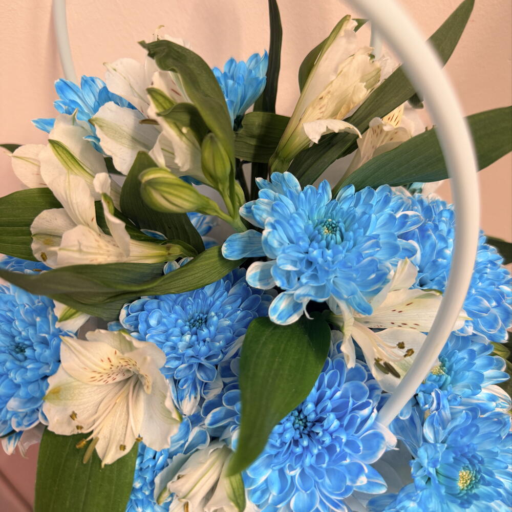 Ice Blue