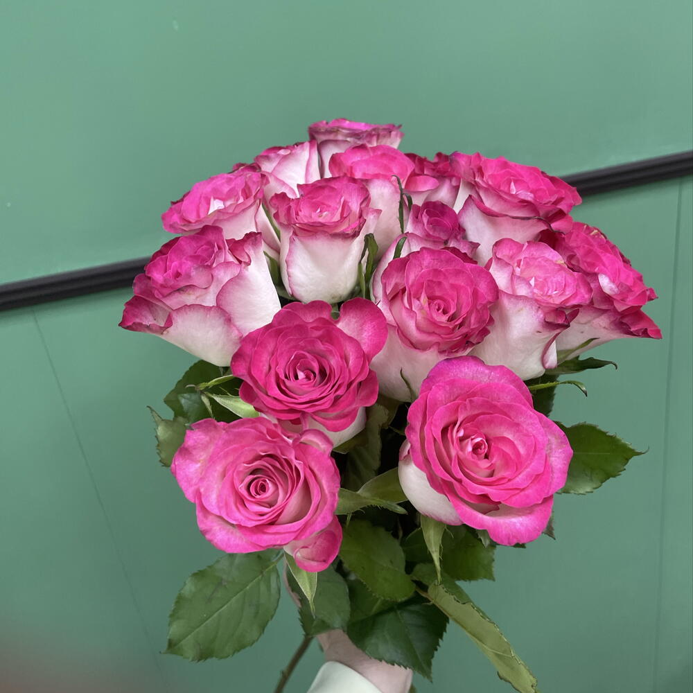 15 роз Кения