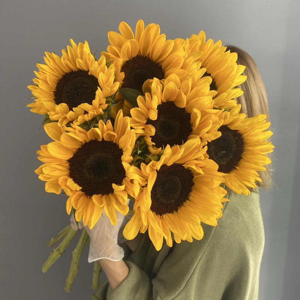 Монобукет солнечный 🌻 яркие подсолнухи 🌻🌻🌻 7 шт