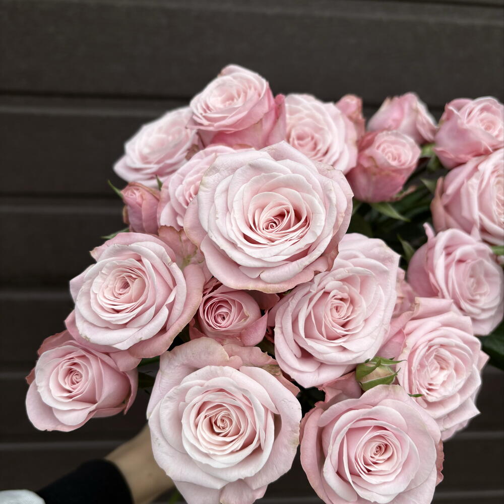 🌸 Облако нежности в ваших руках: монобукет из 5 кустовых роз