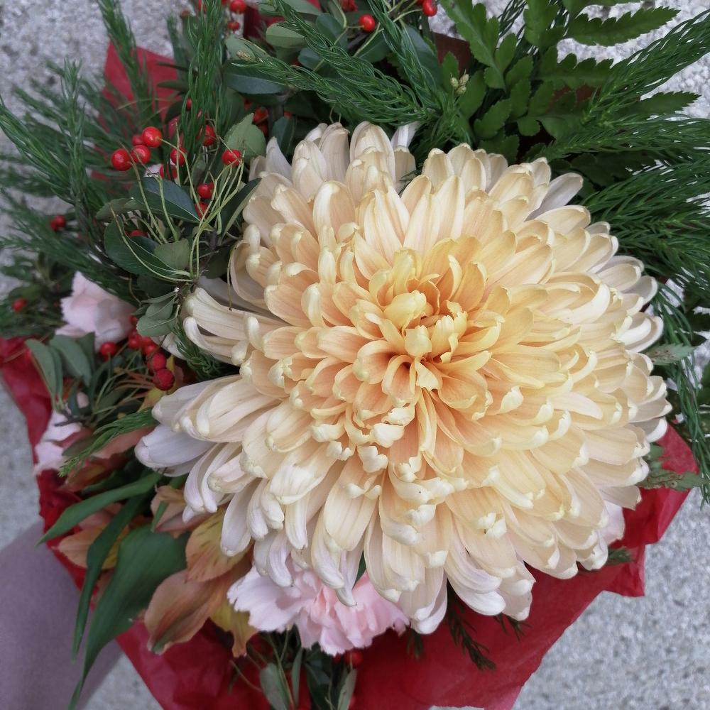 Букет комплимент