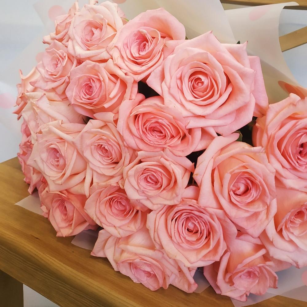 Розовые розы 🌺 ( 17 шт)