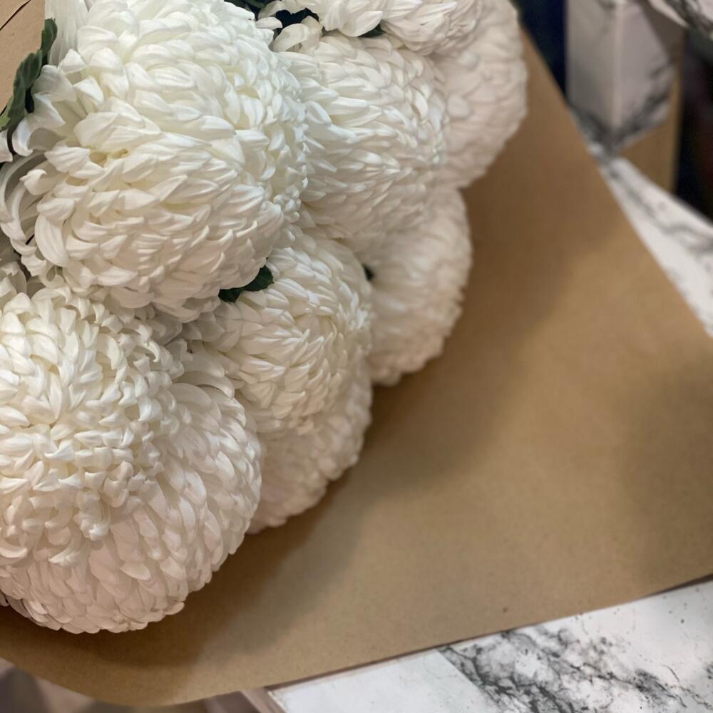 Classic white