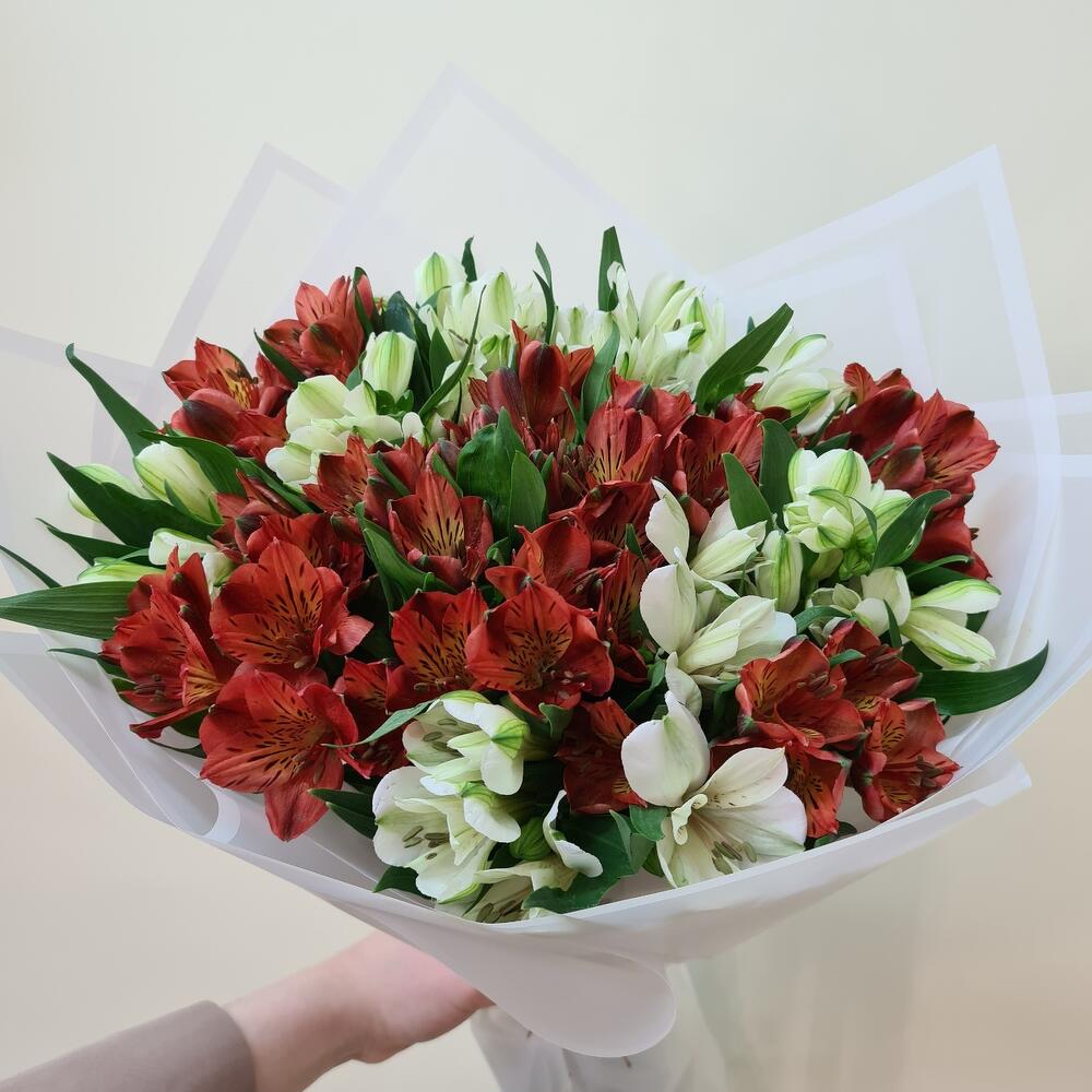 Ramo de delicada alstroemeria