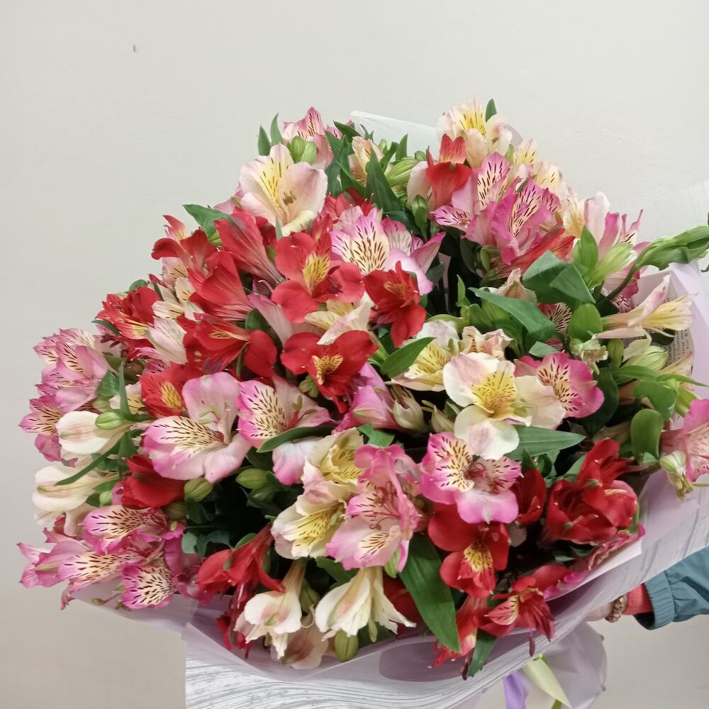 Букет из 25 альстромерий в стильной упаковке, Цветы и подарки Самара ...