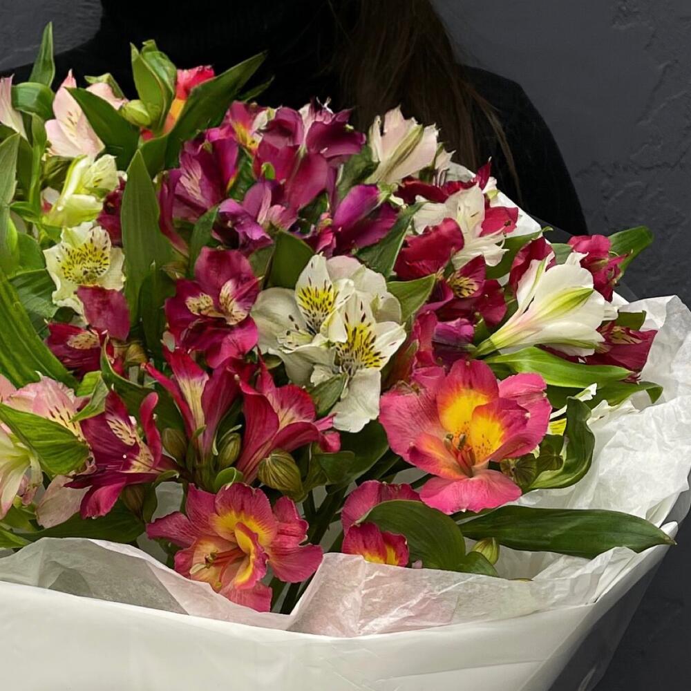 Alstroemeria