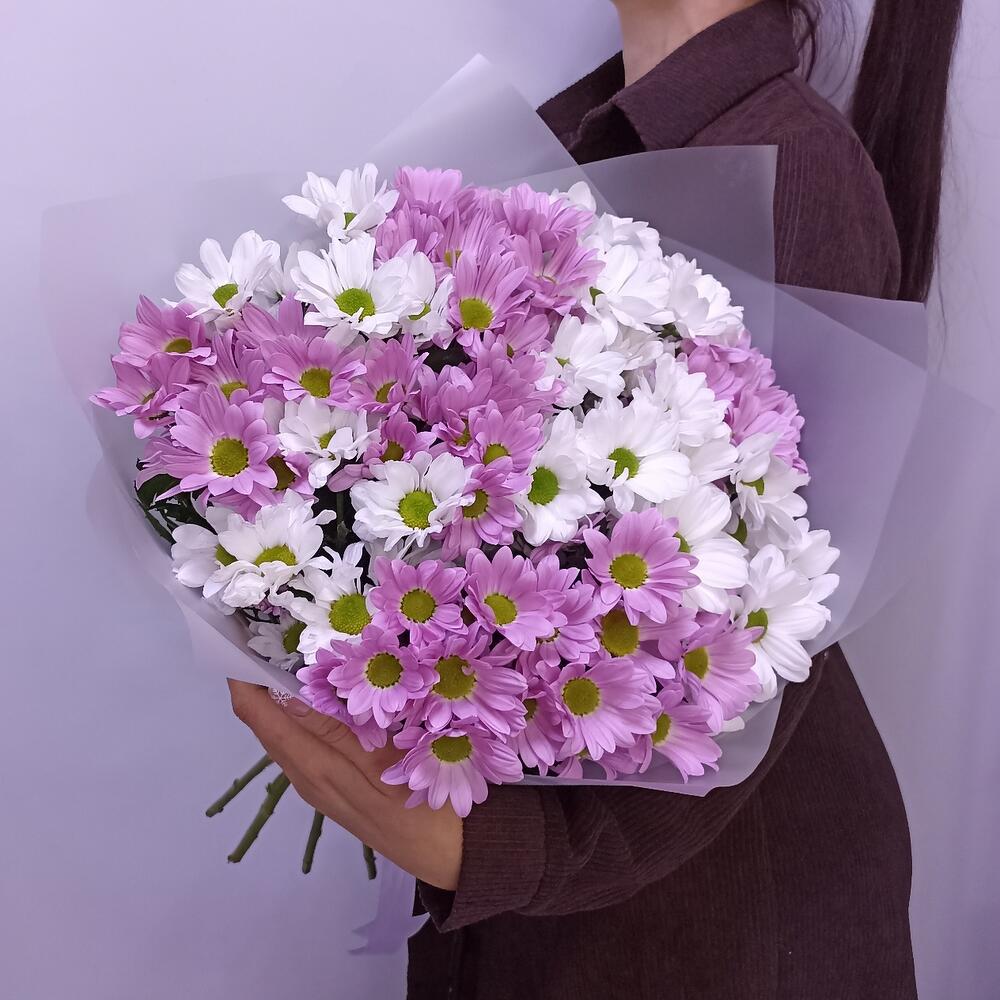 💐Хризантема