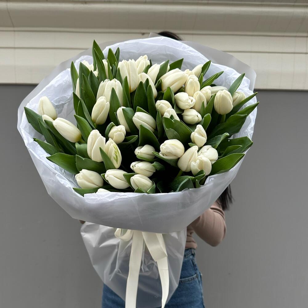 Белые тюльпаны 51 шт
