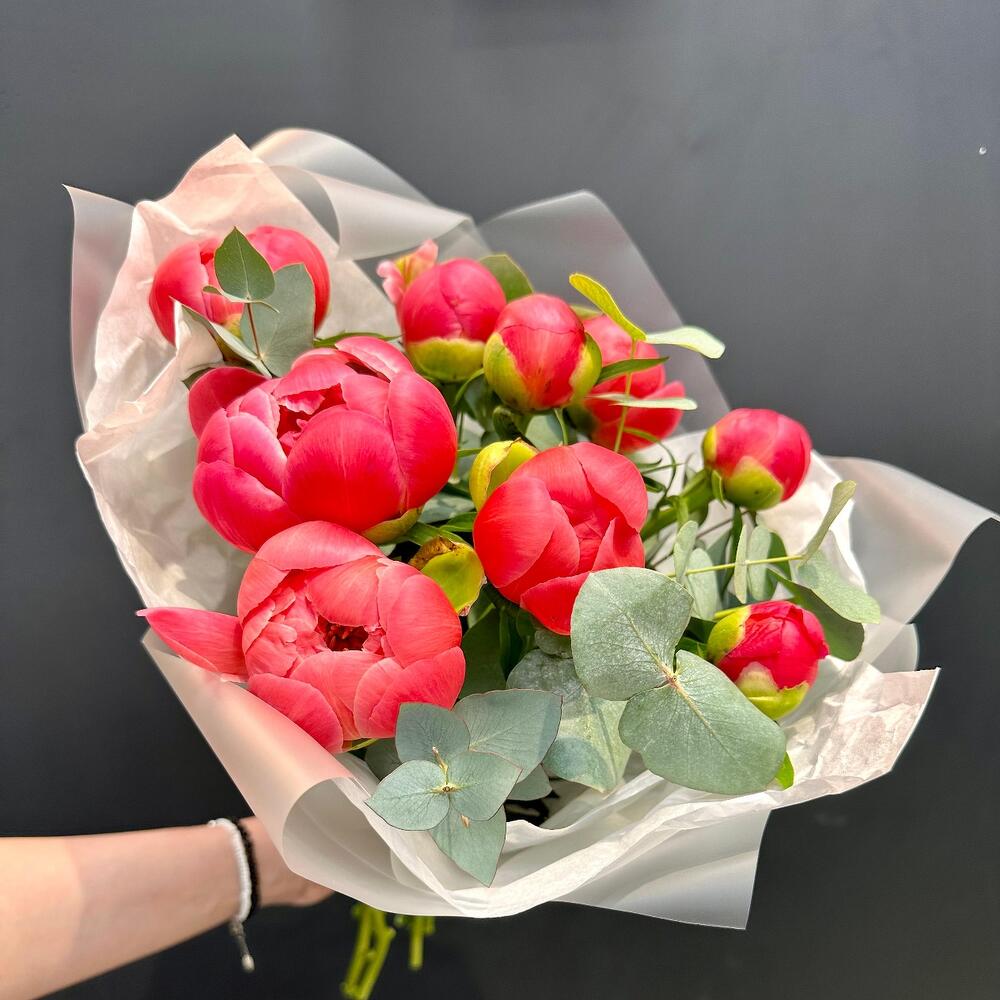 Пион Coral Charm Корал Шарм 9 шт