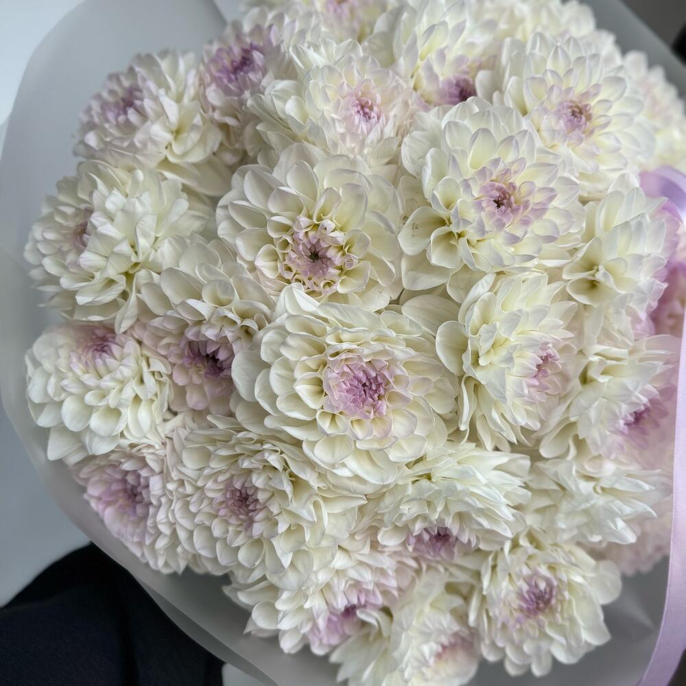 Георгины 29шт