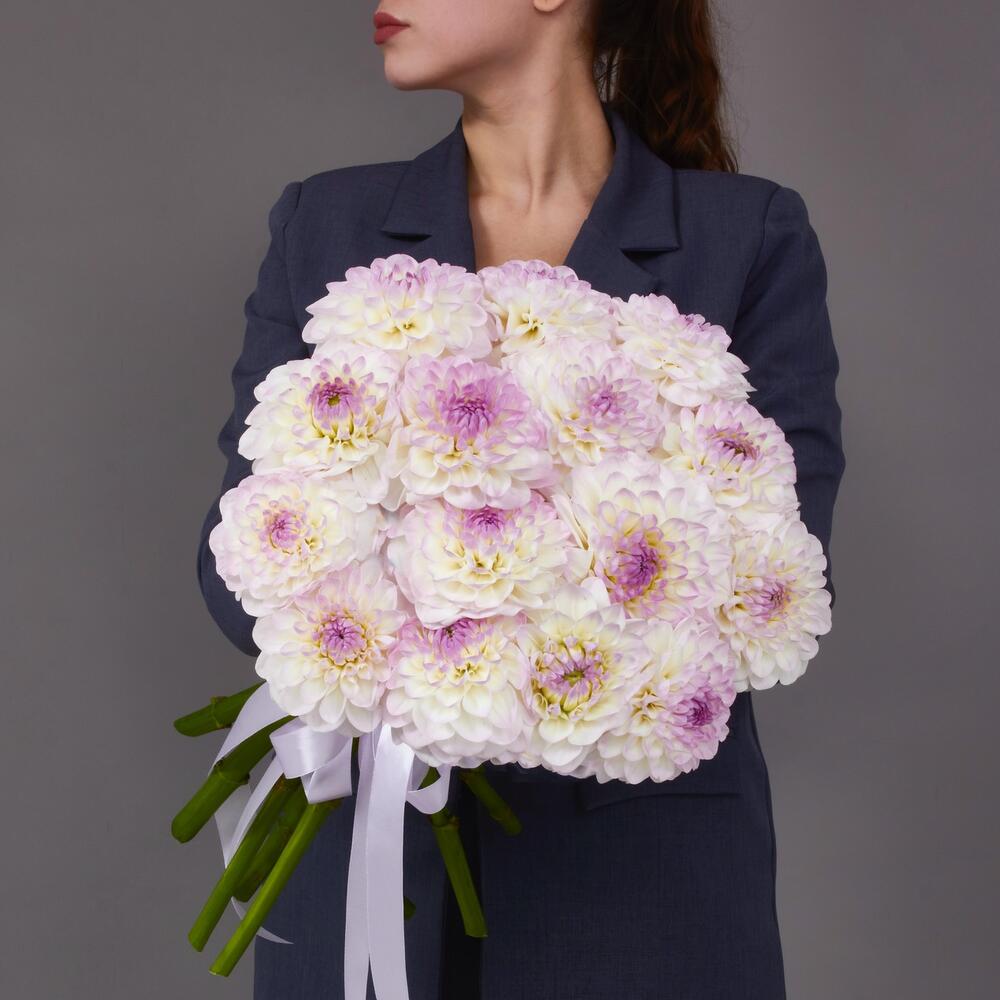 Георгины 15 шт