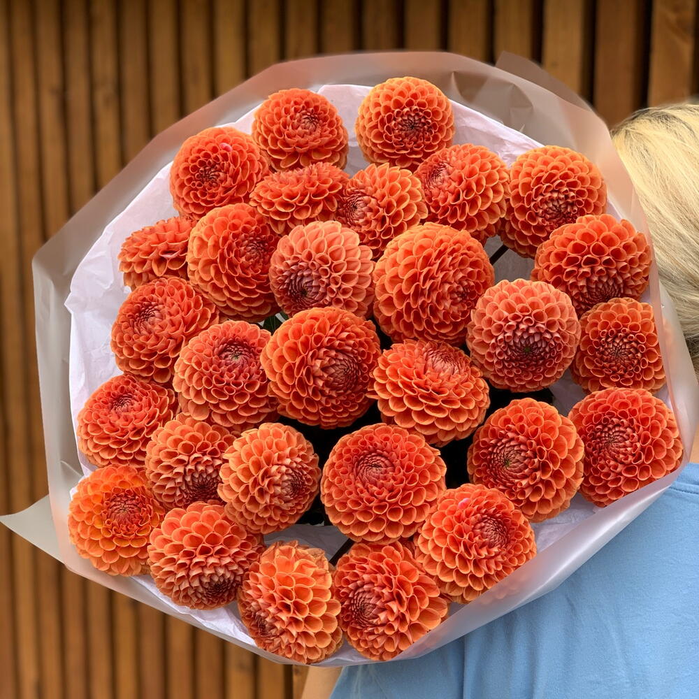 Георгины