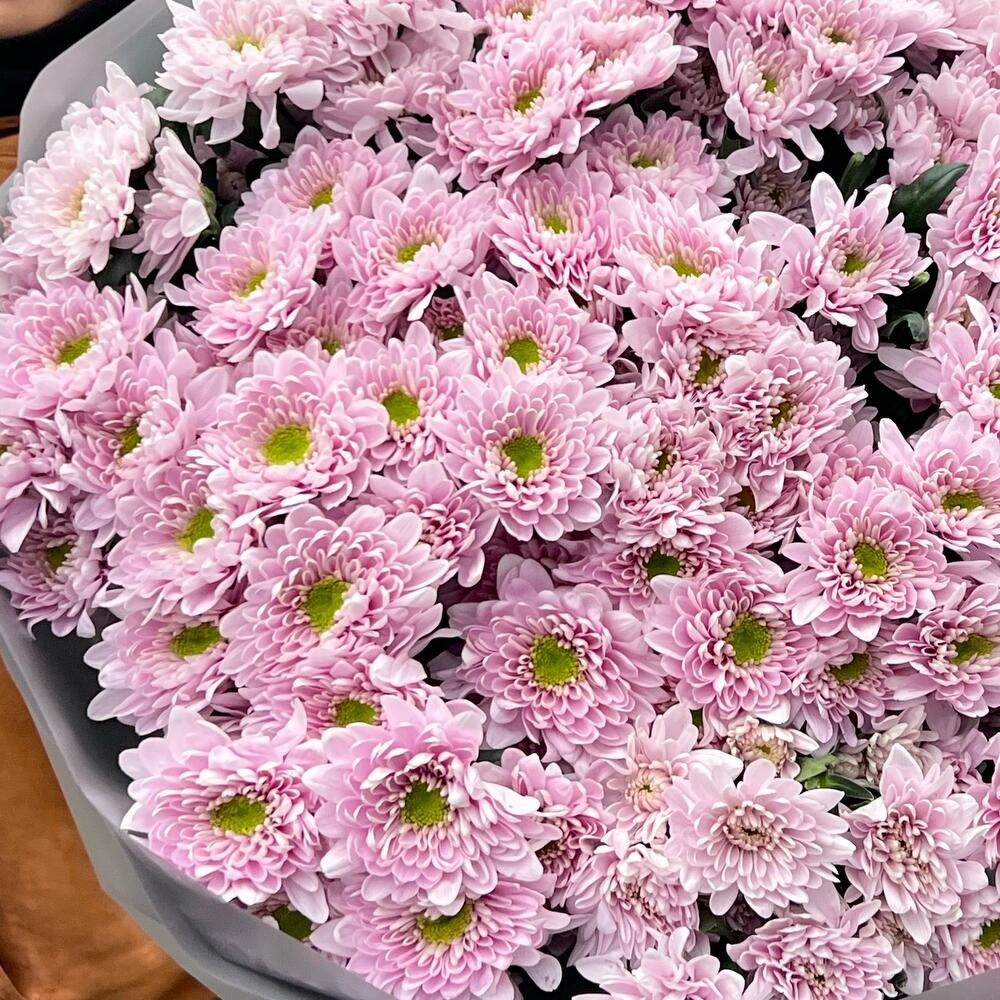 Хризантемы 🌸