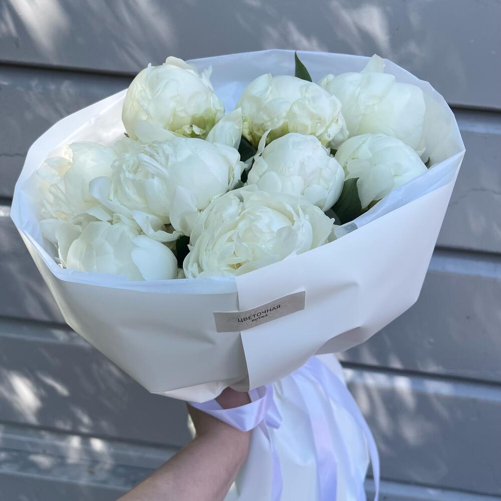 9 белых пионов ☁️