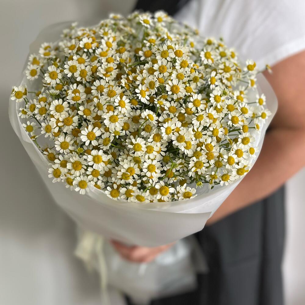 «Солнечные поля» 🌼