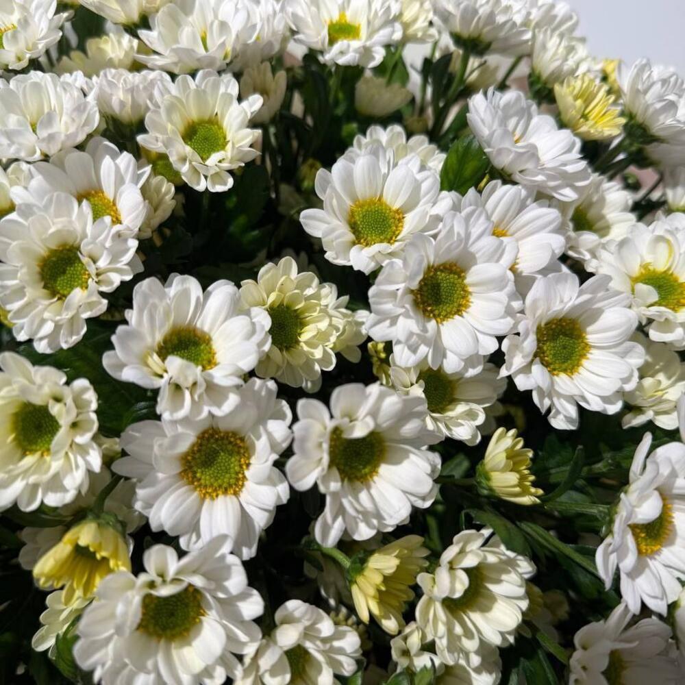 Букет и сердце