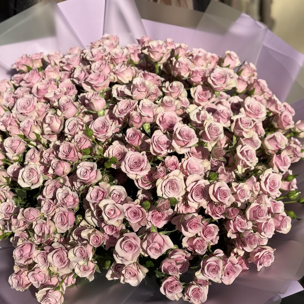 Кустовая Роза 🥀 Кения 🇰🇪