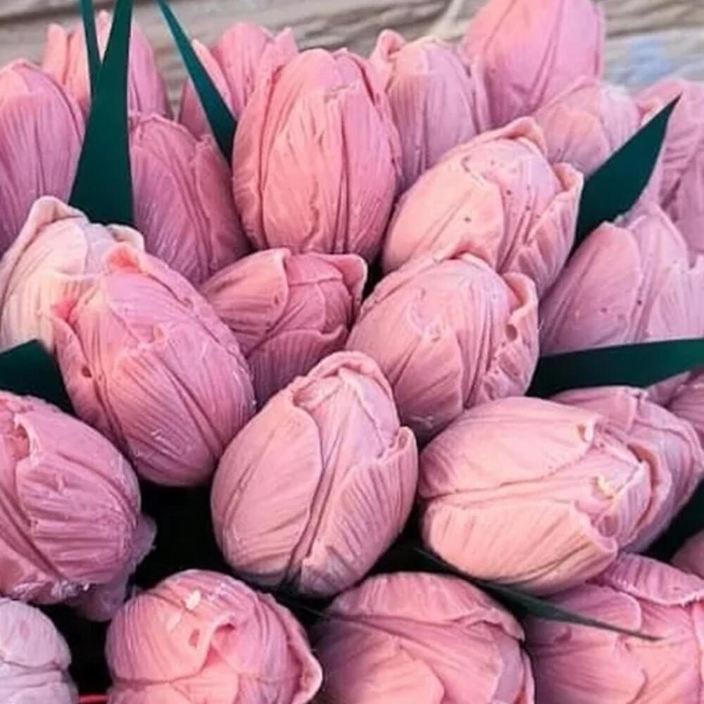 Роскошныйе тюльпаны 🌷