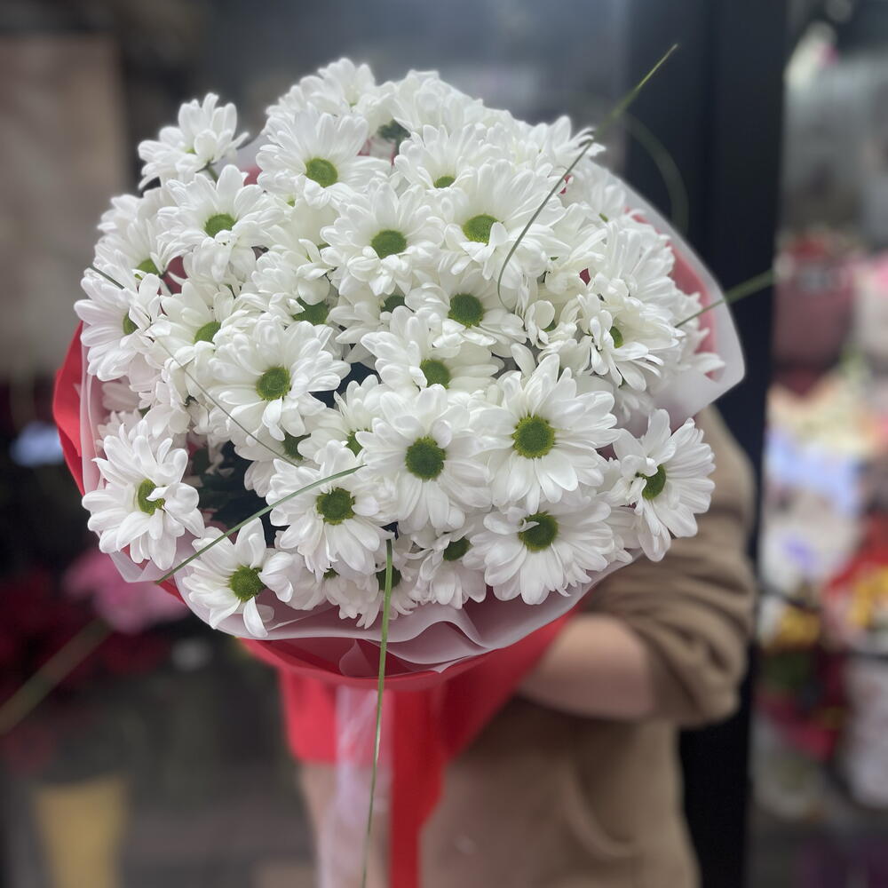 Ромашки